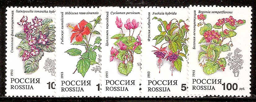 Soviet Russia - 1991-95 YEAR 1993 Scott 6133-7 Michel 296-300 